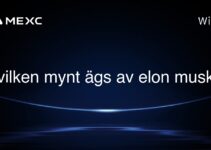 vilken mynt ägs av elon musk