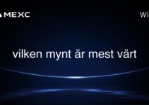 vilken mynt är mest värt