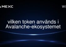 vilken token används i Avalanche-ekosystemet
