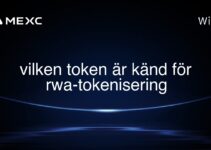 vilken token är känd för rwa-tokenisering