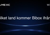 Vilket land kommer Bibox ifrån?
