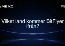Vilket land kommer BitFlyer ifrån?