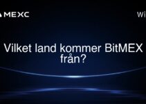 Vilket land kommer BitMEX från?