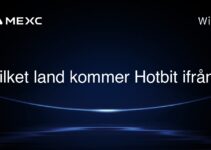 Vilket land kommer Hotbit ifrån?