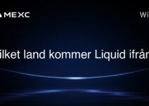 Vilket land kommer Liquid ifrån?