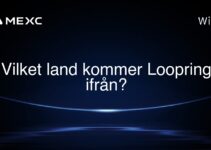 Vilket land kommer Loopring ifrån?