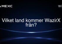 Vilket land kommer WazirX från?