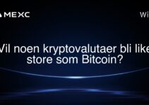 Vil noen kryptovalutaer bli like store som Bitcoin?