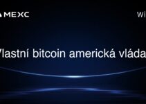 Vlastní bitcoin americká vláda?