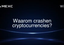 Waarom crashen cryptocurrencies?