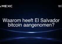 Waarom heeft El Salvador bitcoin aangenomen?
