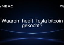 Waarom heeft Tesla bitcoin gekocht?