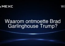 Waarom ontmoette Brad Garlinghouse Trump?