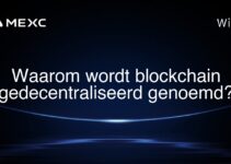 Waarom wordt blockchain gedecentraliseerd genoemd?