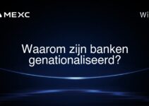 Waarom zijn banken genationaliseerd?