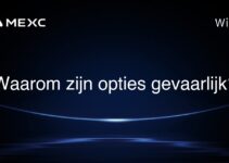 Waarom zijn opties gevaarlijk?