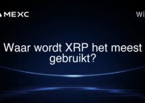 Waar wordt XRP het meest gebruikt?