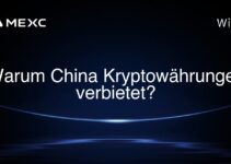 Warum China Kryptowährungen verbietet?