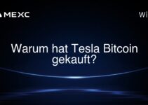 Warum hat Tesla Bitcoin gekauft?