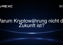 Warum Kryptowährung nicht die Zukunft ist?