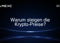 Warum steigen die Krypto-Preise?