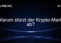 Warum stürzt der Krypto-Markt ab?