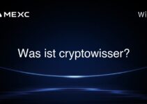 Was ist cryptowisser?