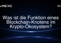 Was ist die Funktion eines Blockchain-Knotens im Krypto-Ökosystem?