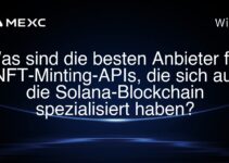 Was sind die besten Anbieter für NFT-Minting-APIs, die sich auf die Solana-Blockchain spezialisiert haben?