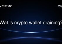 Wat is crypto wallet draining?