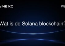 Wat is de Solana blockchain?