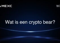 Wat is een crypto bear?