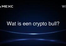 Wat is een crypto bull?