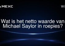 Wat is het netto waarde van Michael Saylor in roepies?