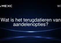 Wat is het terugdatieren van aandelenopties?