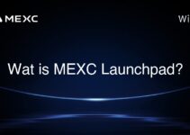 Wat is MEXC Launchpad?