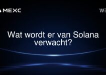 Wat wordt er van Solana verwacht?