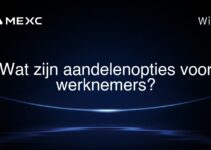 Wat zijn aandelenopties voor werknemers?