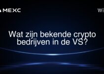 Wat zijn bekende crypto bedrijven in de VS?