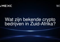 Wat zijn bekende crypto bedrijven in Zuid-Afrika?