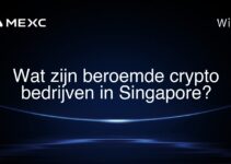 Wat zijn beroemde crypto bedrijven in Singapore?