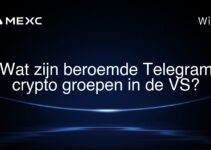 Wat zijn beroemde Telegram crypto groepen in de VS?