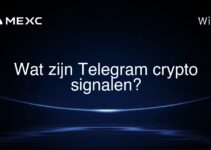 Wat zijn Telegram crypto signalen?