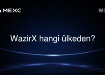 WazirX hangi ülkeden?