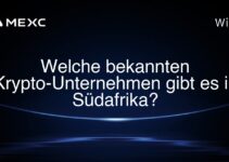Welche bekannten Krypto-Unternehmen gibt es in Südafrika?