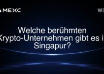 Welche berühmten Krypto-Unternehmen gibt es in Singapur?
