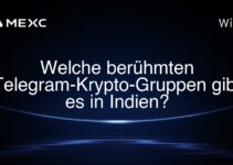 Welche berühmten Telegram-Krypto-Gruppen gibt es in Indien?