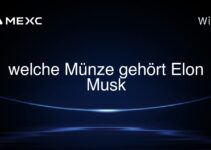 welche Münze gehört Elon Musk