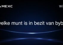 welke munt is in bezit van bybit
