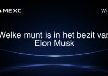 Welke munt is in het bezit van Elon Musk